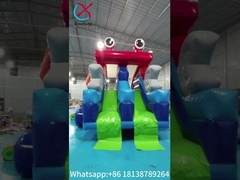 Commercial Grade Inflável Slide Seco Figura de Rano Inflável Alto Slides Duplos Para Crianças E Adultos