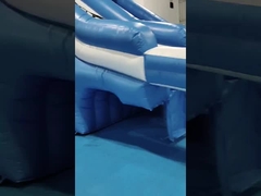 Commercial Outdoor Gigante Deslizamento de Água Inflável Pulpo Deslizamento de Água Inflável Cartoon