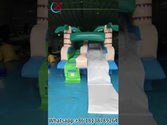 Slides infláveis comerciais de palma infláveis de água seca
