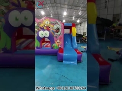 Casa inflável Bug Bouncy com Slide Inflável Inflável Castelo