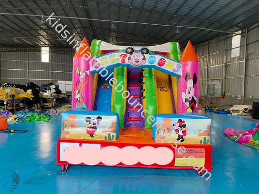 SGS Slides de água infláveis comerciais com tema de desenho animado Casa de salto infante