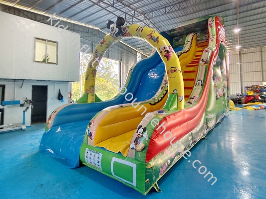 Commercial Outdoor Slide Seco Inflavel Castelo Disney Mickey Mouse Cartoon Party Slide Seco Inflavel Para Crianças E Adultos